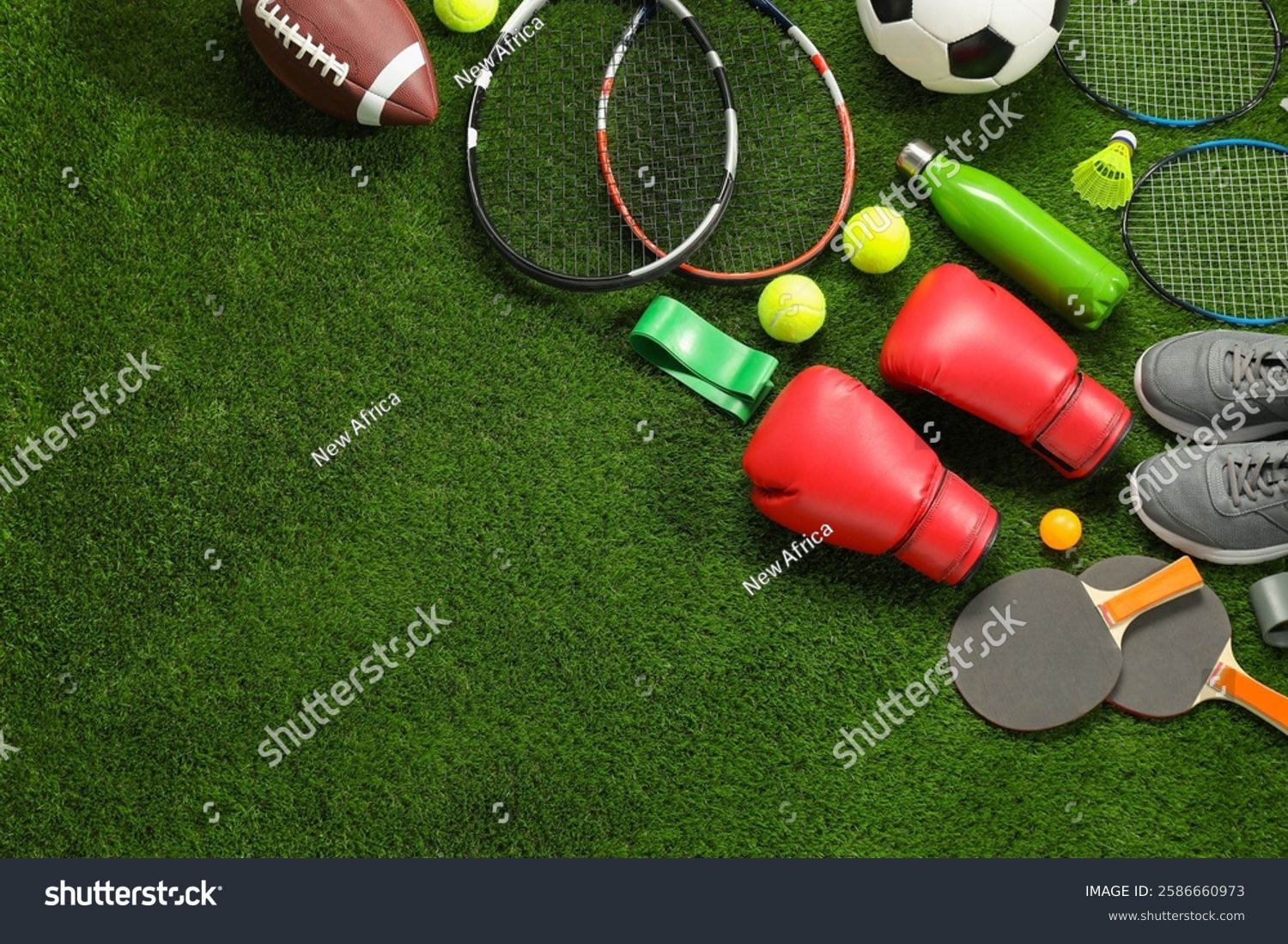 2026 WBC：日本队主帅透露，为了应对可能的长局数，球队将携带三名具备长打能力的捕手